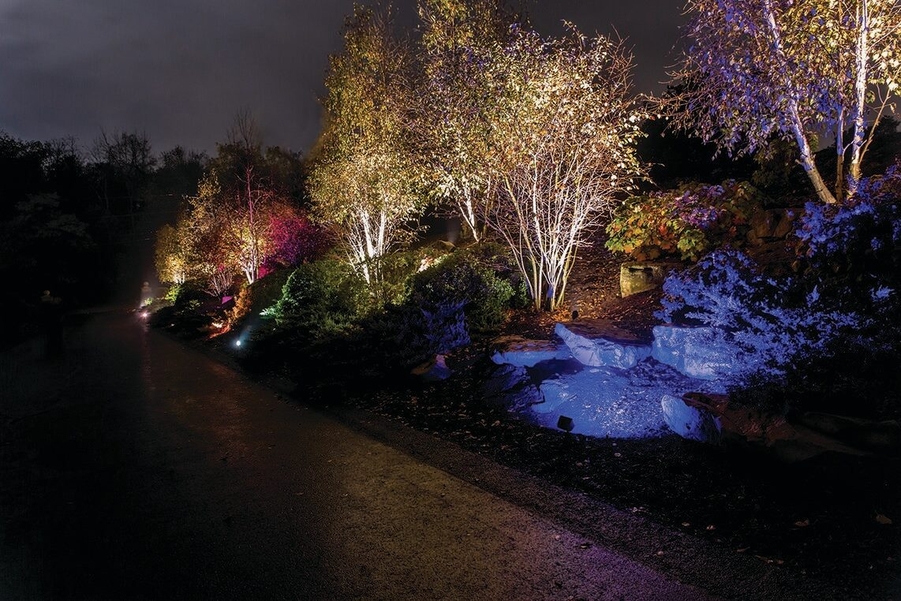 5 Outdoor Landscape Lighting Techniques to Illuminate California Nights